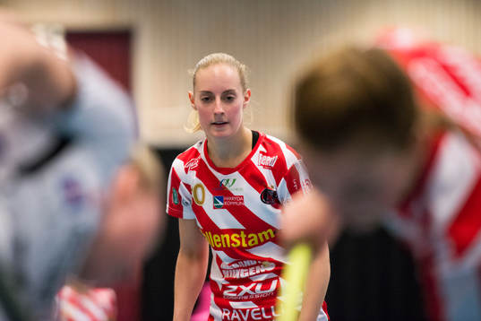 Pixbos Alicia Fylke