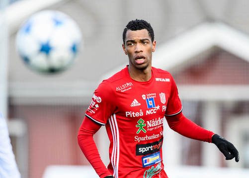 Piteås Kraig Rochester