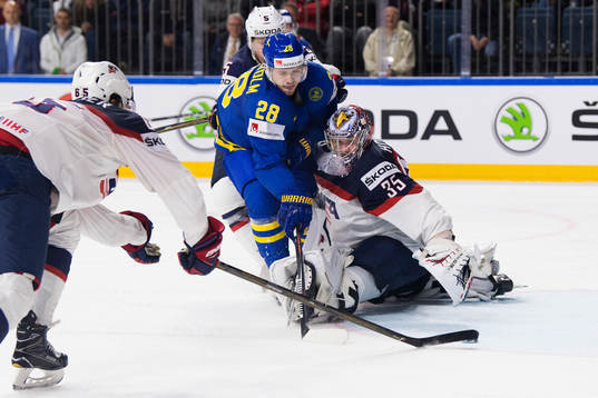 s målvakt Jimmy Howard