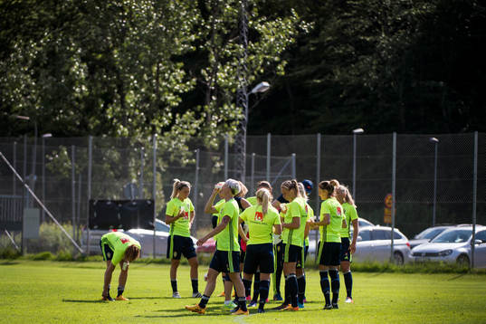 Delar av laget samlas