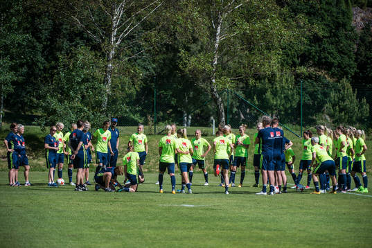 Samling
