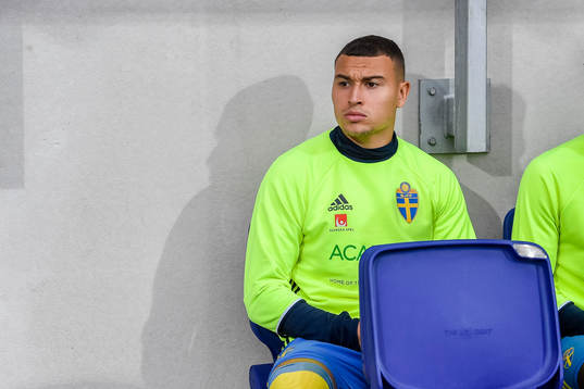 Sveriges Jordan Larsson på bänken