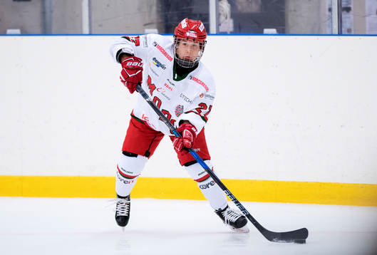 Modos Annie Svedin