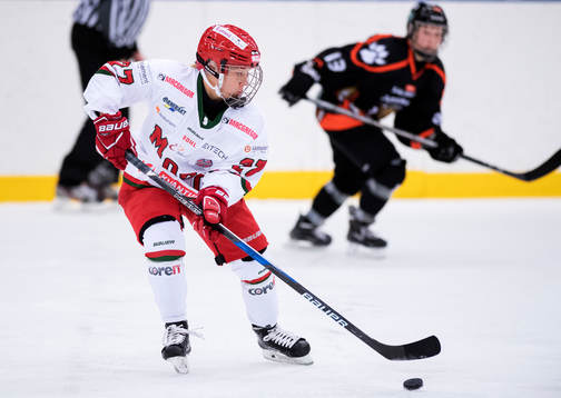 Modos Annie Svedin