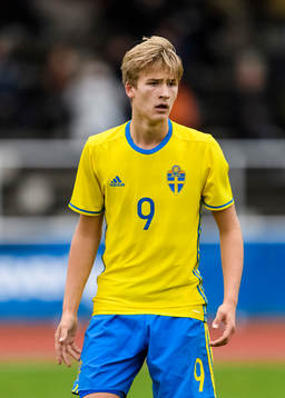 Sveriges Fredrik Hammar