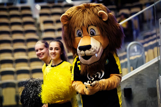 Sävehofs maskot Bolliver