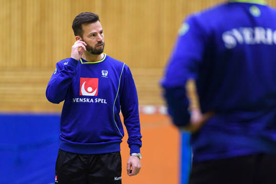 Förbundskapten Henrik Signell