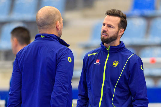 Förbundskapten Henrik Signell