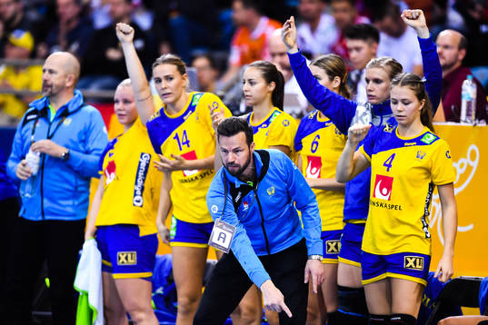 Sveriges förbundskapten Henrik Signell