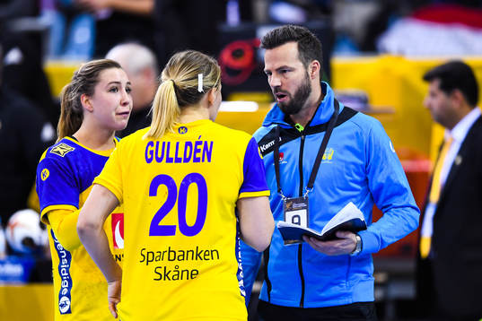 Sveriges förbundskapten Henrik Signelli samtal med Anna