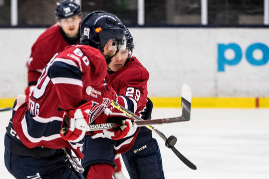 Helsingborgs Oliver Lindgren och Daniel Åhsberg