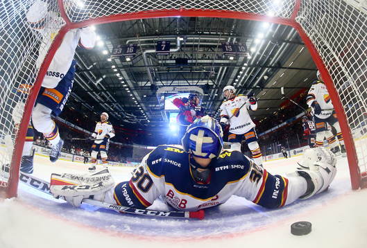 Bläddra bland fler bilder av Ishockey, SHL, Linköping - Djurgården