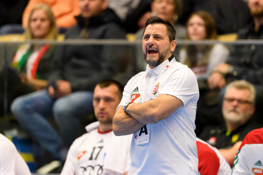 Ungerns förbundskapten Ljubomir Vranjes