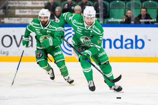 Rögles Alen Bibic