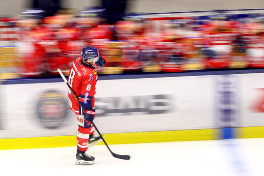Linköpings Derek Roy jublar med lagkamrater