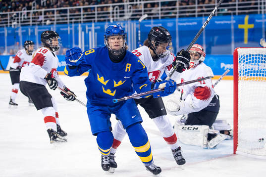Anna Borgqvist of Sweden celebrates the 1-1 goal  in the