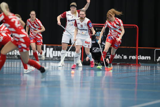 Telges Terese Ahlqvist och Åsa Tjusberg samt Pixbos Lisa