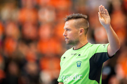 Domare Michael Johansson
