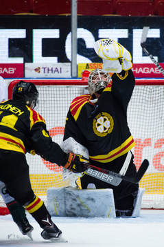 Brynäs målvakt David Rautio