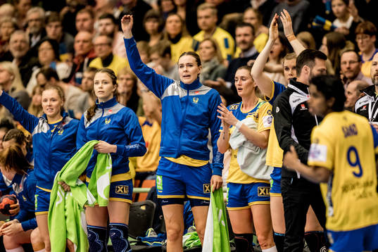 Spelarna på Sveriges bänk jublar