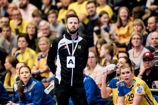 Sveriges förbundskapten Henrik Signell