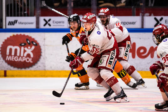 Timrås Vilmos Gallo