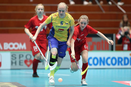 Sveriges Cajsa Elm