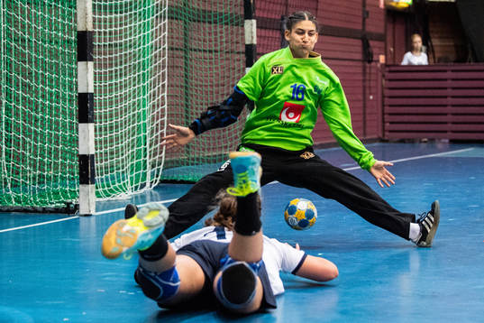 Sveriges målvakt Mona Saffari