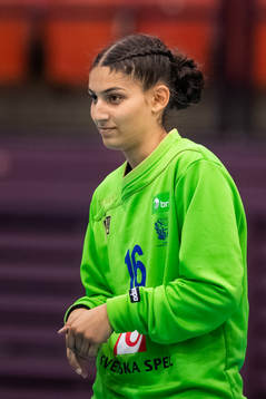 Sveriges Mona Saffari
