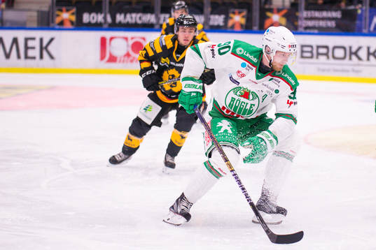 Rögles Ted Brithén