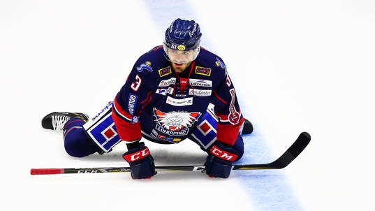 Linköpings Almen Bibic