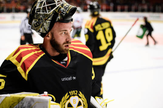 Brynäs målvakt David Rautio