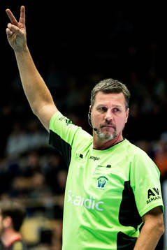 Domare Niclas Widell