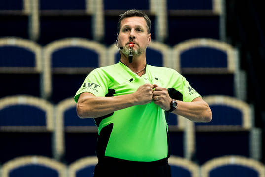 Domare Niclas Widell