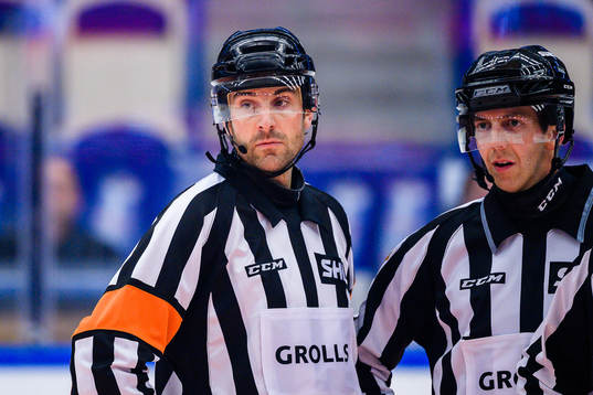 Domare Mikael Sjöqvist