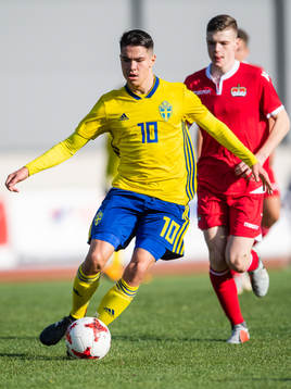 Sveriges William Milovanivic
