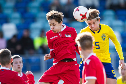 Sveriges Niclas Bergmark nickar