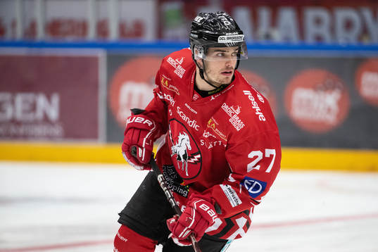 Vita Hästens Arvid Degerstedt