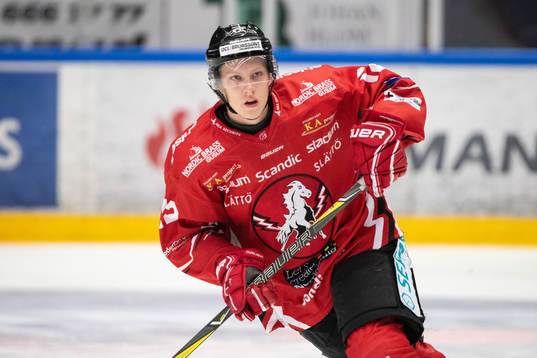 Vita Hästens Gustav Ahnelöv