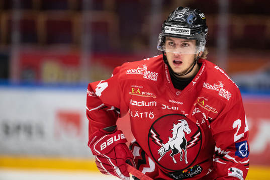 Vita Hästens Axel Levander