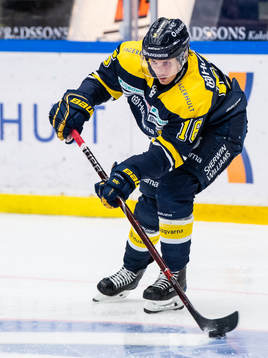 s Markus Ljungh