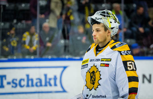 Skellefteås målvakt Mantas Armalis deppar