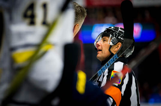 Domaren Wolmer Edqvist