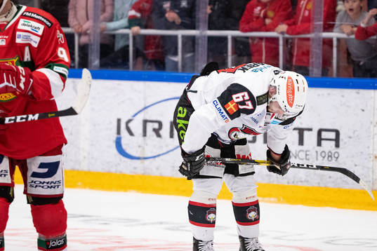 Malmö Redhawks Konstantin Komarek deppar