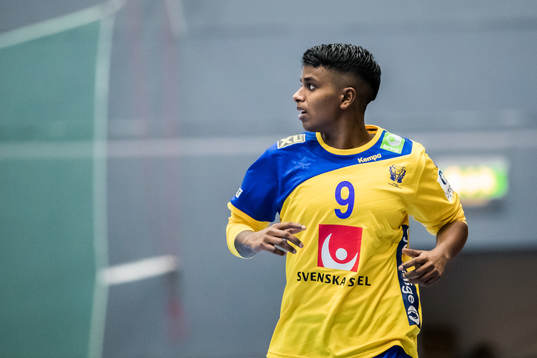 Sveriges Loui Sand