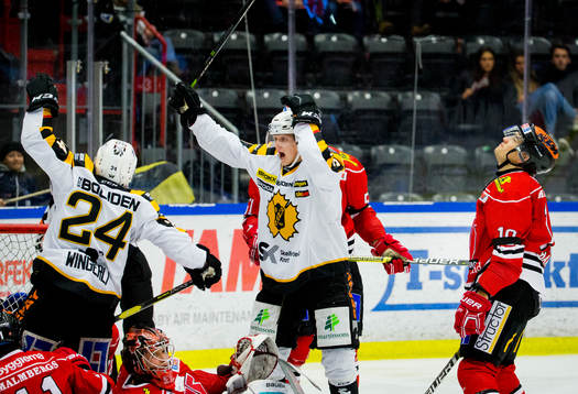 Skellefteås Andreas Wingerli jublar vid 2-2 målet och