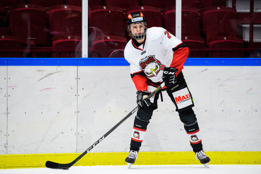 Malmö Redhawks Helge Grans