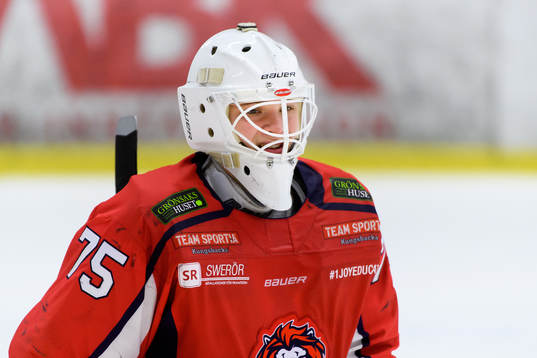 Hanhals målvakt Arvid Söderblom