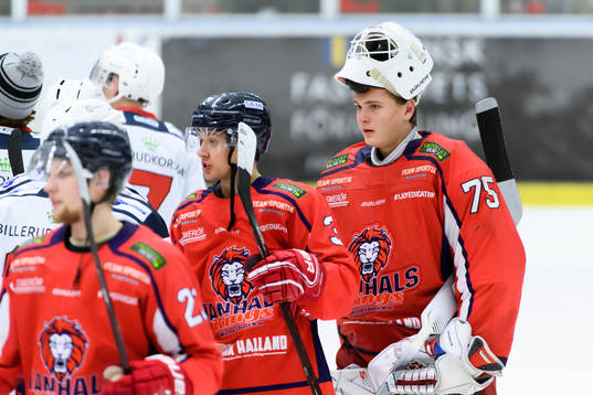 Hanhals målvakt Arvid Söderblom
