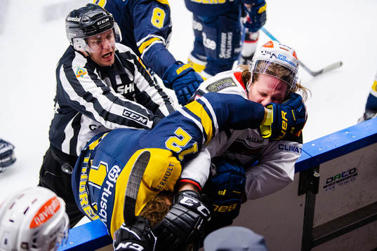 s Andreas Thuresson fajtas med Malmö Redhawks Stefan Warg